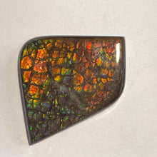 Load image into Gallery viewer, Beautiful multicoloured dragonskin free form ammolite gemstone 45x35 mm