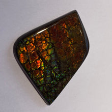 Load image into Gallery viewer, Beautiful multicoloured dragonskin free form ammolite gemstone 45x35 mm