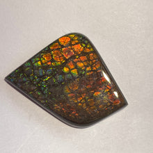 Load image into Gallery viewer, Beautiful multicoloured dragonskin free form ammolite gemstone 45x35 mm