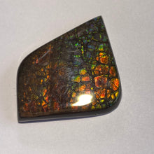 Load image into Gallery viewer, Beautiful multicoloured dragonskin free form ammolite gemstone 45x35 mm