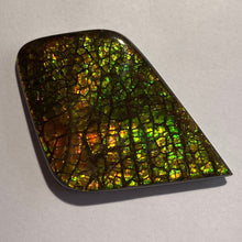Load image into Gallery viewer, Beautiful multicoloured dragonskin free form ammolite gemstone 50x34 mm