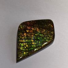 Load image into Gallery viewer, Beautiful multicoloured dragonskin free form ammolite gemstone 50x34 mm