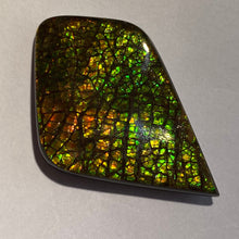 Load image into Gallery viewer, Beautiful multicoloured dragonskin free form ammolite gemstone 50x34 mm
