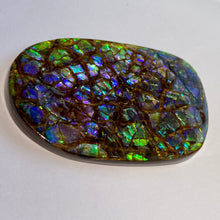 Load image into Gallery viewer, Beautiful purple/blue/geen w splashes of aqua and pink - dragonskin free form ammolite gemstone 49x32 mm