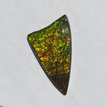 Load image into Gallery viewer, Beautiful golden/green/orange dragon skin ammolite 45x25 mm