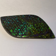 Load image into Gallery viewer, Beautiful green/blue/aqua and stripe of purple in dragon skin ammolite 79x39 mm