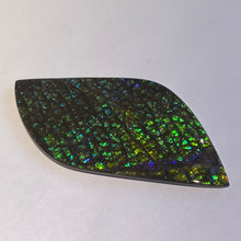 Load image into Gallery viewer, Beautiful green/blue/aqua and stripe of purple in dragon skin ammolite 79x39 mm