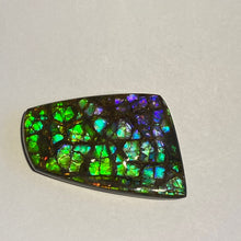 Load image into Gallery viewer, Rare pink/purple/green with spots of ember orange and red dragon skin ammolite