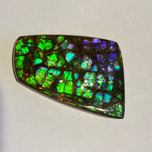 Load image into Gallery viewer, Rare pink/purple/green with spots of ember orange and red dragon skin ammolite