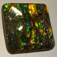 Load image into Gallery viewer, Beautiful bright golden multicoloured ammolite 40x38 mm