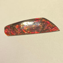Load image into Gallery viewer, Pearlescent glowing red ammolite free form 37x20x10 mm