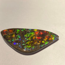 Load image into Gallery viewer, Stunning Rainbow dragon skin ammolite free form 60x30x4 mm