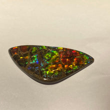 Load image into Gallery viewer, Stunning Rainbow dragon skin ammolite free form 60x30x4 mm