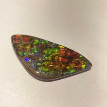 Load image into Gallery viewer, Stunning Rainbow dragon skin ammolite free form 60x30x4 mm