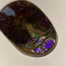 Load image into Gallery viewer, Glowing and deep purple, blue, green, aqua ammolite free form 56x32x6 mm