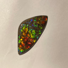 Load image into Gallery viewer, Stunning Rainbow dragon skin ammolite free form 60x30x4 mm