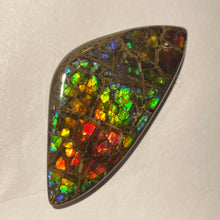 Load image into Gallery viewer, Stunning Rainbow dragon skin ammolite free form 60x30x4 mm
