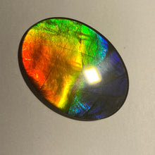 Load image into Gallery viewer, AAA+ ammolite calibrated cabochon. Beautiful rainbow colours. 40x30 mm low dome quartz cap