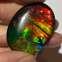 Load image into Gallery viewer, AAA+ ammolite calibrated cabochon. Beautiful rainbow colours. 40x30 mm low dome quartz cap
