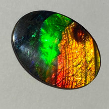 Load image into Gallery viewer, AAA+ ammolite calibrated cabochon. Beautiful blue, green, gold and red colours. 30x 22 mm low dome quartz cap