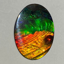 Load image into Gallery viewer, AAA+ ammolite calibrated cabochon. Beautiful blue, green, gold and red colours. 30x 22 mm low dome quartz cap