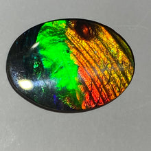 Load image into Gallery viewer, AAA+ ammolite calibrated cabochon. Beautiful blue, green, gold and red colours. 30x 22 mm low dome quartz cap