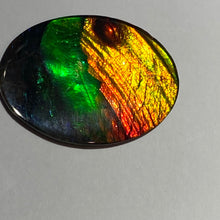 Load image into Gallery viewer, AAA+ ammolite calibrated cabochon. Beautiful blue, green, gold and red colours. 30x 22 mm low dome quartz cap