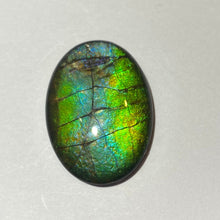 Load image into Gallery viewer, AAA+ ammolite calibrated cabochon. Beautiful green blue pink colours. 25 x 18 mm high dome quartz cap