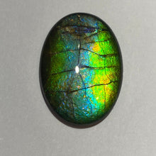 Load image into Gallery viewer, AAA+ ammolite calibrated cabochon. Beautiful green blue pink colours. 25 x 18 mm high dome quartz cap