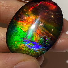 Load image into Gallery viewer, AAA+ ammolite calibrated cabochon. Beautiful rainbow colours. 40x30 mm low dome quartz cap