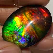 Load image into Gallery viewer, AAA+ ammolite calibrated cabochon. Beautiful rainbow colours. 40x30 mm low dome quartz cap