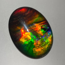 Load image into Gallery viewer, AAA+ ammolite calibrated cabochon. Beautiful rainbow colours. 40x30 mm low dome quartz cap