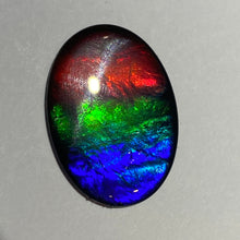 Load image into Gallery viewer, AAA+ ammolite calibrated cabochon. Beautiful flash red, green and blue colours. 25x18 mm low dome quartz cap