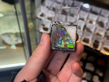 Load image into Gallery viewer, AMMOLITE specimen collectibles

