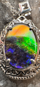 ammmolite pendant