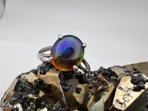 ammolite ring