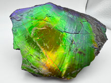 Load image into Gallery viewer, matching natural ammolite specimen
