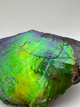 Load image into Gallery viewer, matching natural ammolite specimen
