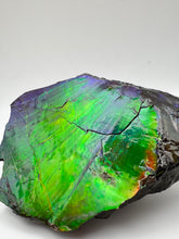 Load image into Gallery viewer, matching natural ammolite specimen
