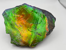 Load image into Gallery viewer, matching natural ammolite specimen
