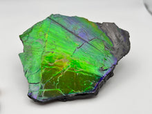 Load image into Gallery viewer, matching natural ammolite specimen

