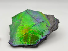 Load image into Gallery viewer, matching natural ammolite specimen
