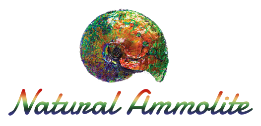 Natural Ammolite logo