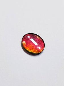 Ammolite calibrated triplet 14x12mm cabochon (x33)