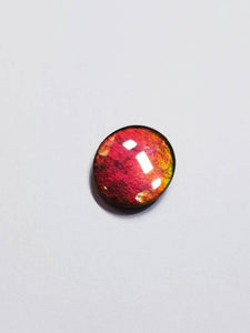 Ammolite calibrated triplet 14x12mm cabochon (x33)