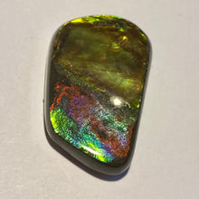 Load image into Gallery viewer, Beautiful bright flash in multicoloured ammolite gemstone 40x24 mm
