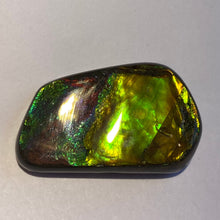 Load image into Gallery viewer, Beautiful bright flash in multicoloured ammolite gemstone 40x24 mm

