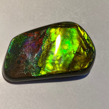 Load image into Gallery viewer, Beautiful bright flash in multicoloured ammolite gemstone 40x24 mm
