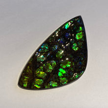 Load image into Gallery viewer, Green /blue/aqua specks of gold dragon skin ammolite
