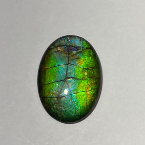 AA ammolite calibrated cabochon. Beautiful green blue pink colours. 25 x 18 mm high dome quartz cap